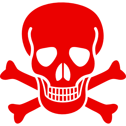 Skull Icon